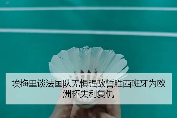 埃梅里谈法国队无惧强敌誓胜西班牙为欧洲杯失利复仇